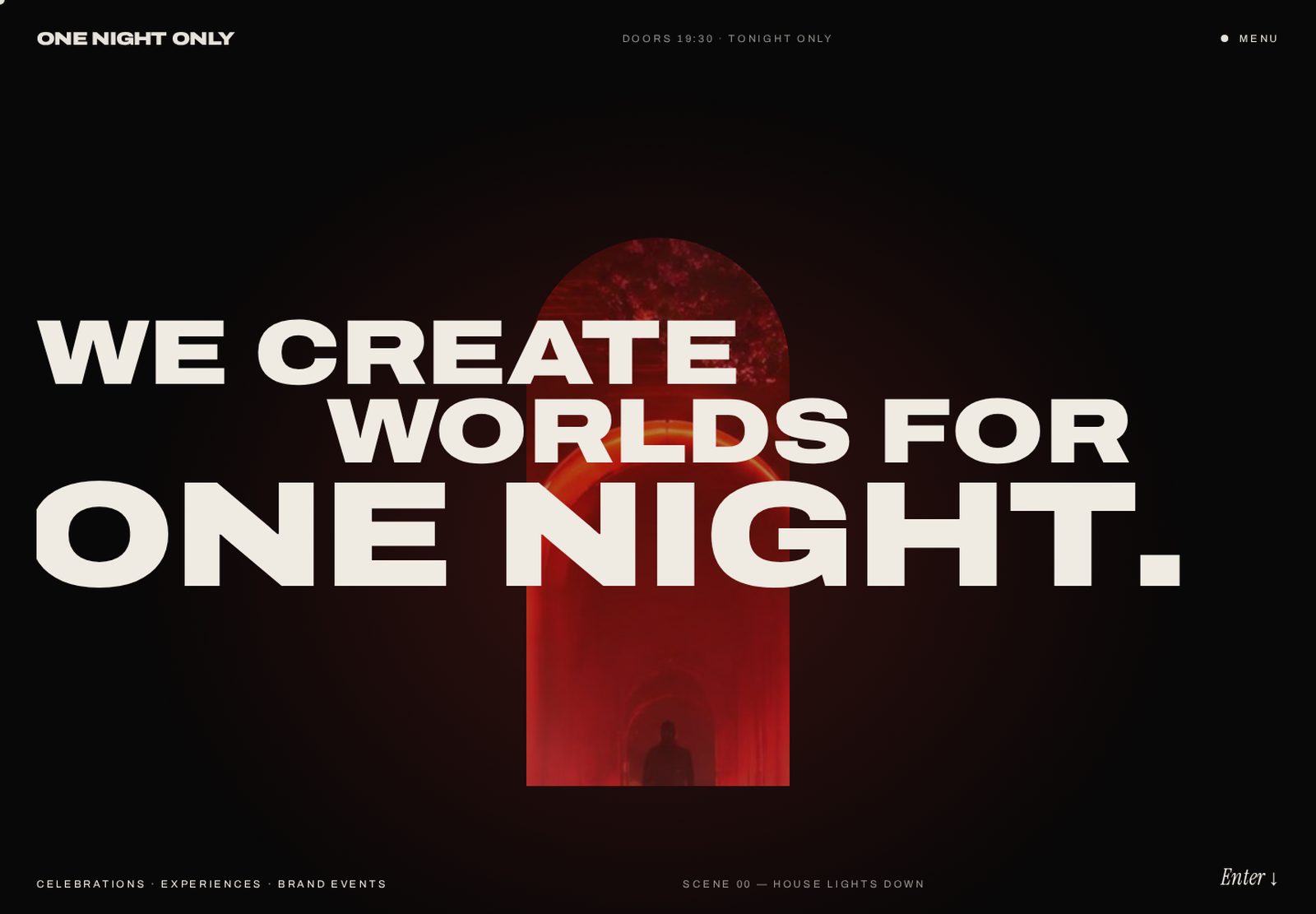 ONE NIGHT ONLY