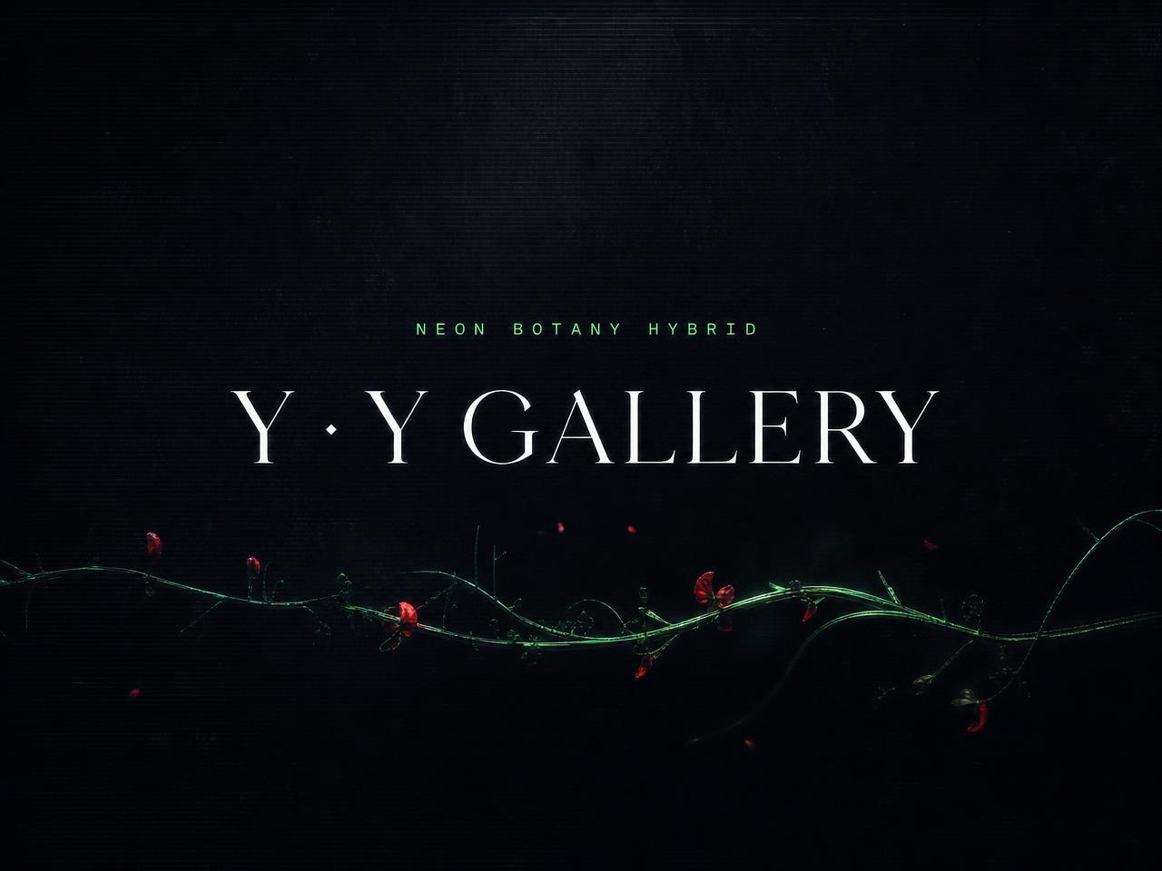 Y · Y Gallery